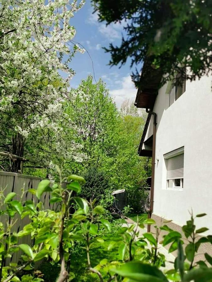 Casa File De Poveste Târgu Jiu Exteriér fotografie
