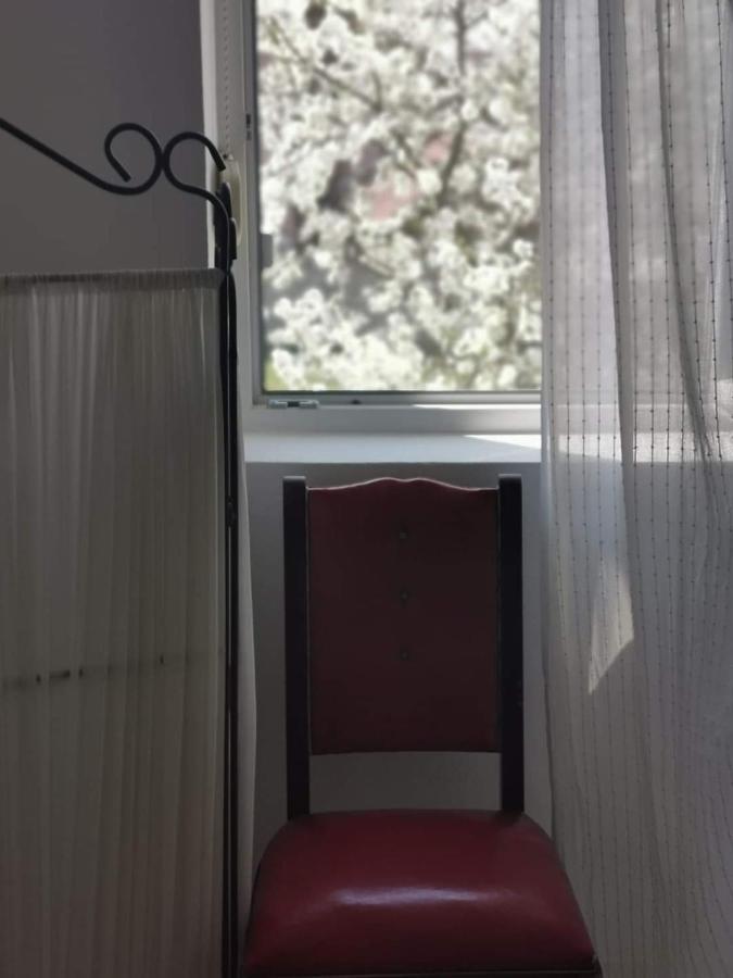 Casa File De Poveste Târgu Jiu Exteriér fotografie