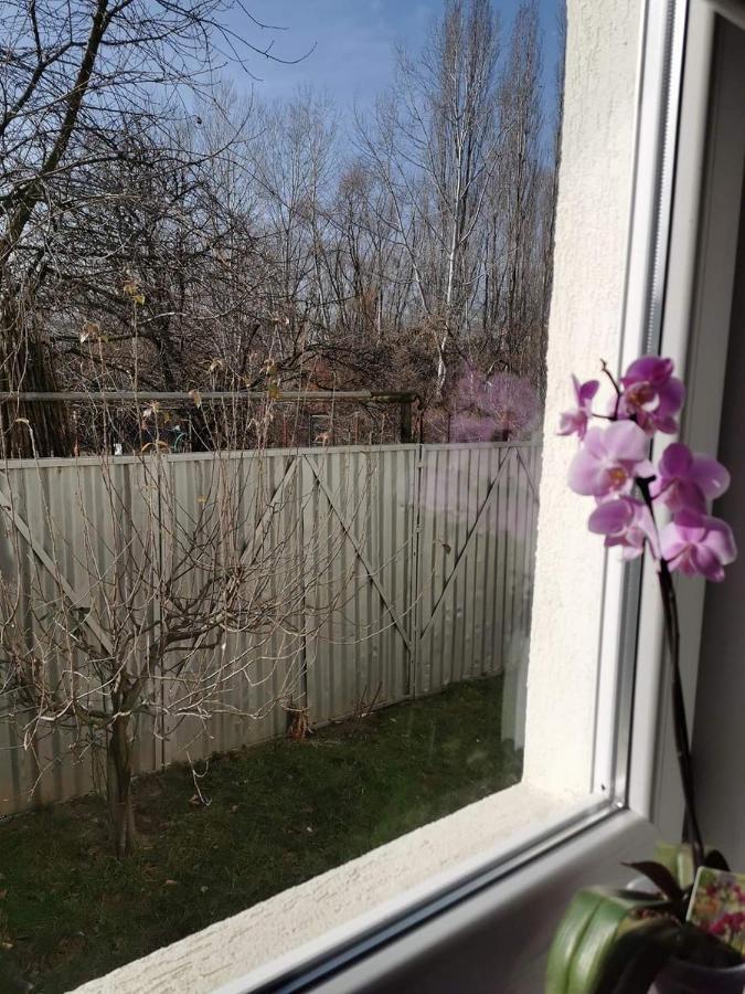 Casa File De Poveste Târgu Jiu Exteriér fotografie
