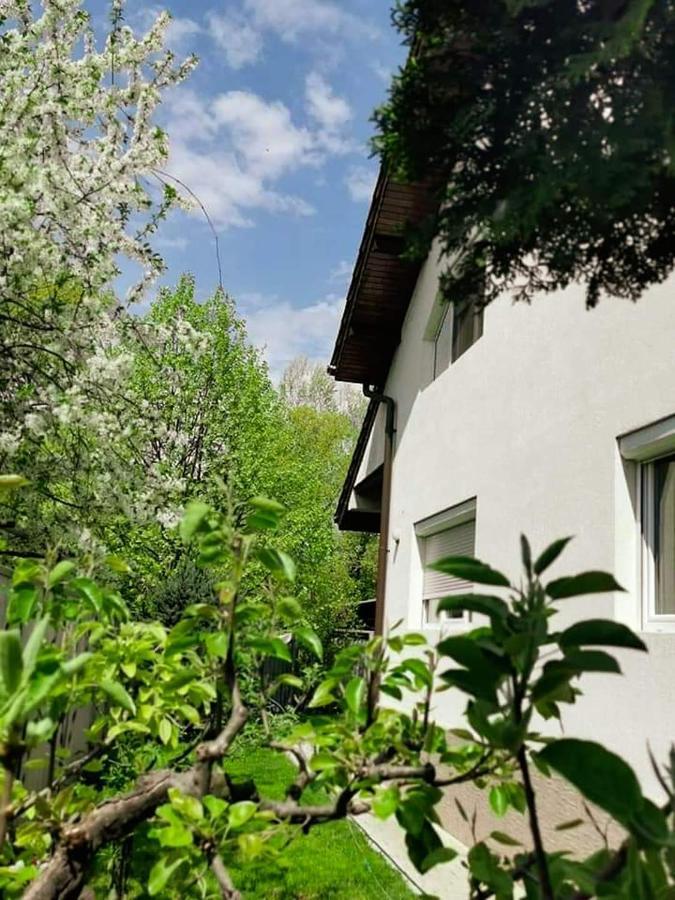 Casa File De Poveste Târgu Jiu Exteriér fotografie