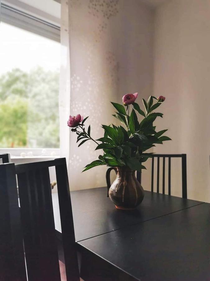 Casa File De Poveste Târgu Jiu Exteriér fotografie